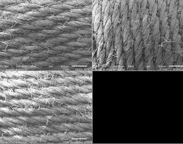 fibre analysis Regenex