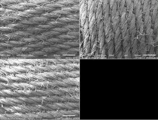 fibre analysis Regenex